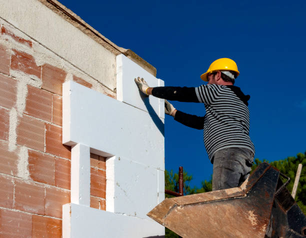 Best Specialized Insulation Services in Springfield, NE