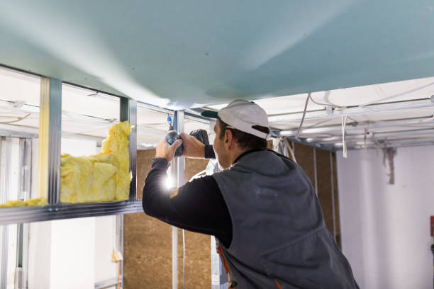 Best Eco-Friendly Insulation in Springfield, NE